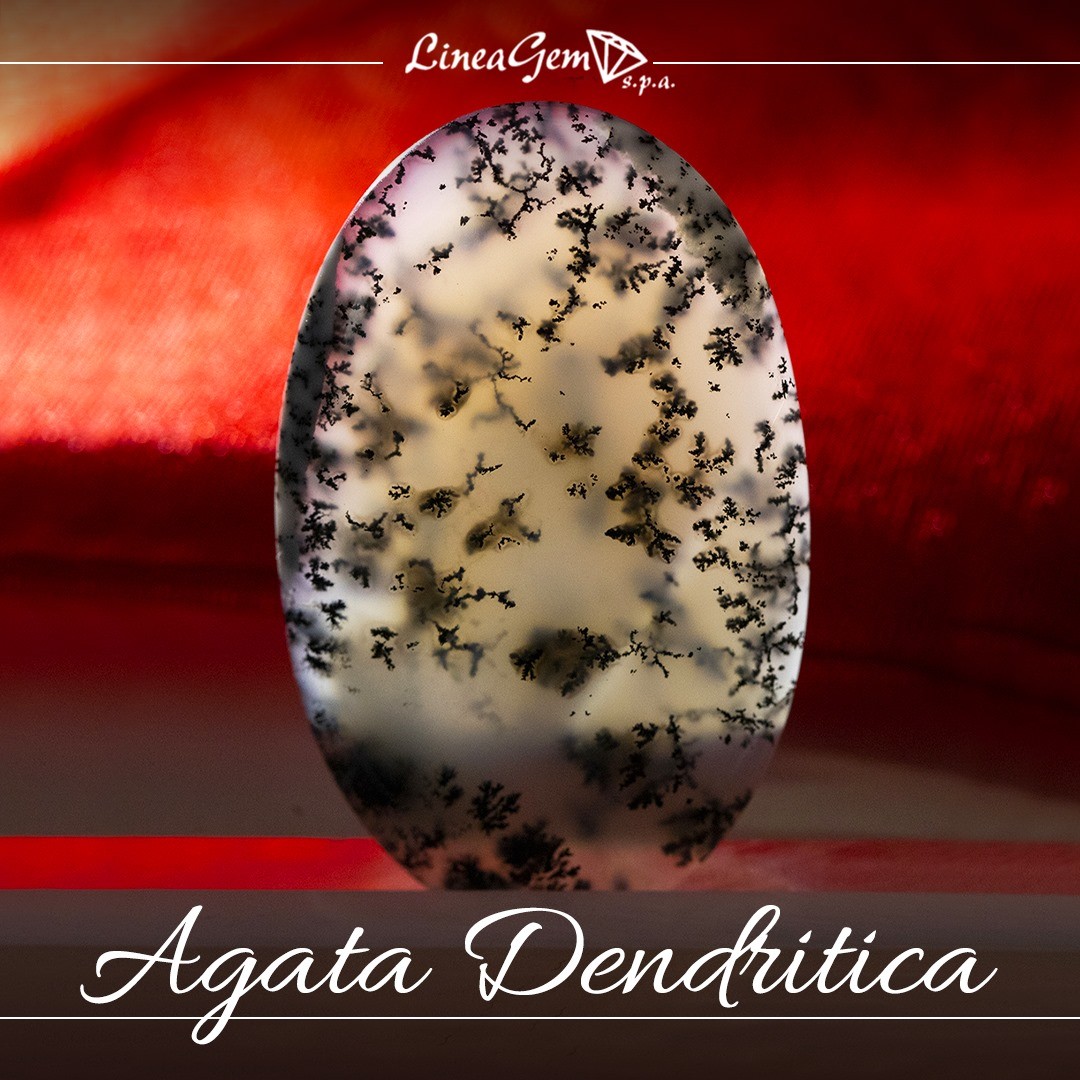 cabochon ovale di agata dendritica naturale lineagem